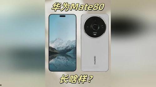 华为mate80最新最近爆料消息,颠覆性设计,全新技术,引领未来旗舰手机潮流 第3张 华为mate80最新最近爆料消息,颠覆性设计,全新技术,引领未来旗舰手机潮流 第3张
